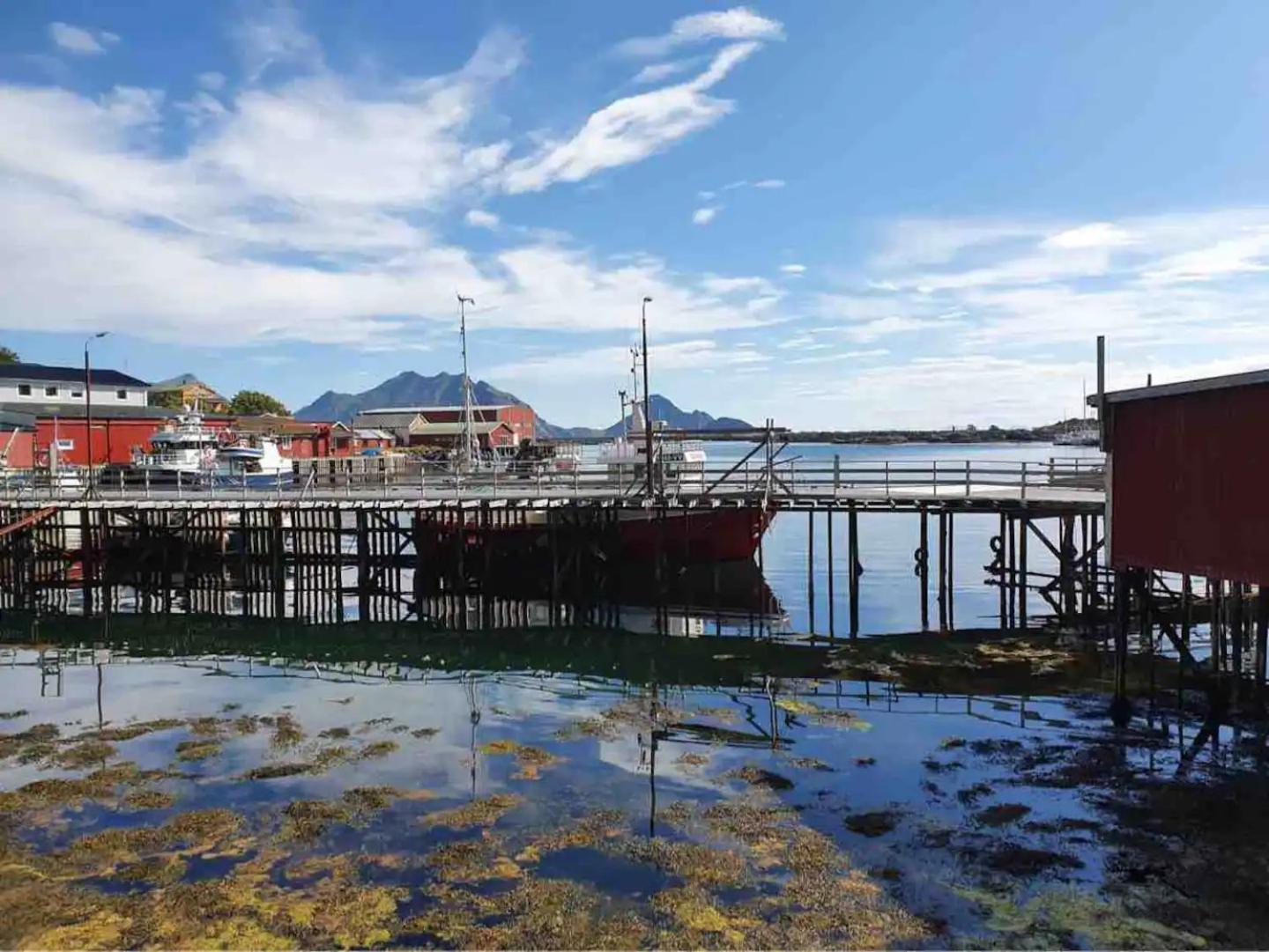 Real Fisherman'S Cabins In Ballstad, Lofoten Zewnętrze zdjęcie